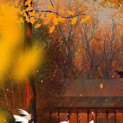 青海都兰热水墓群：再现丝绸之路东西方文化交流盛景